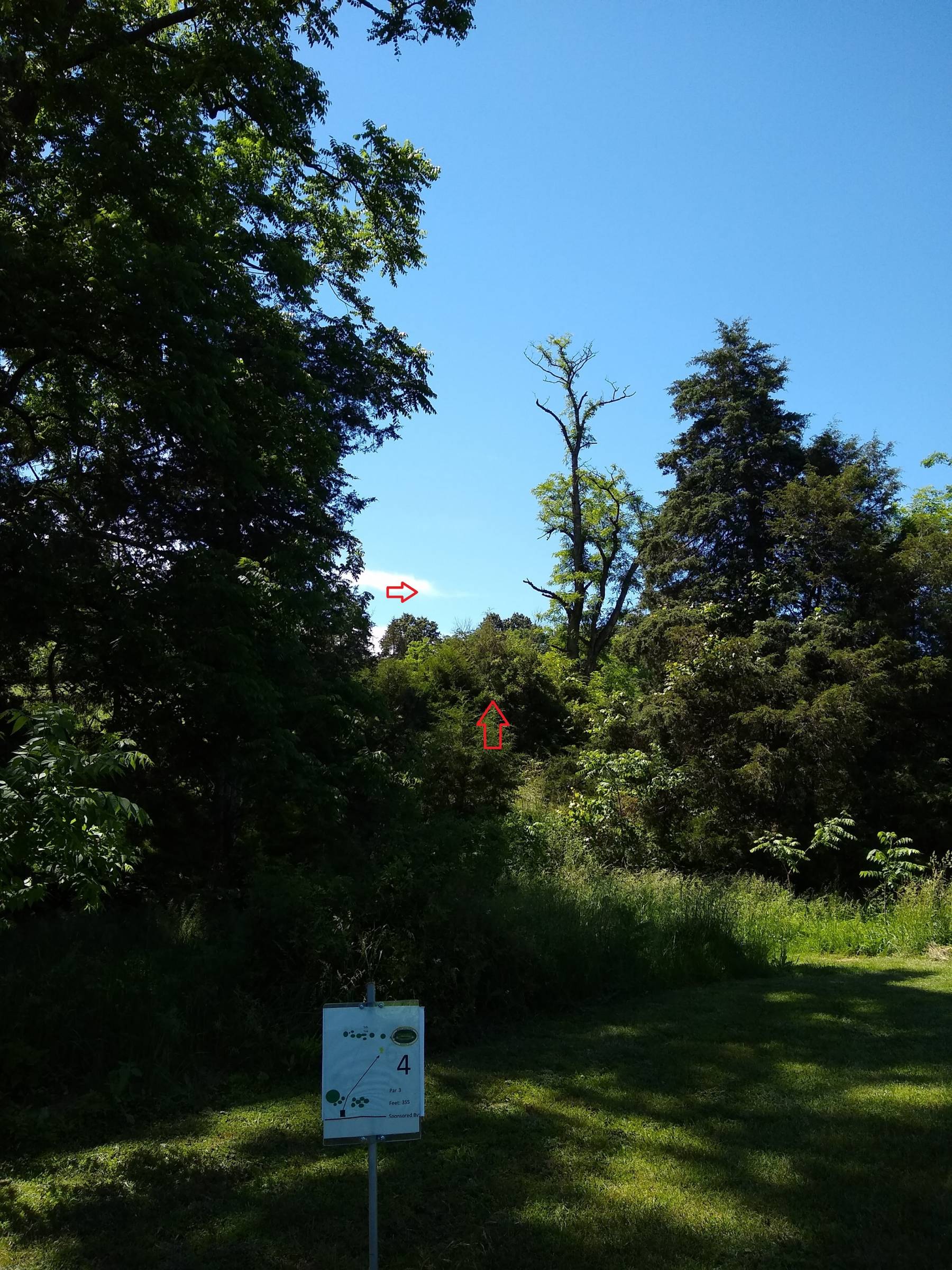 Hole 4 • Swover Creek Brewery (Edinburg, VA) Disc Golf Courses Disc