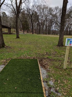 Chester Frost Park, Dallas Island DGC, Hole 7 Tee pad