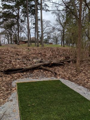 Chester Frost Park, Dallas Island DGC, Hole 4 Tee pad