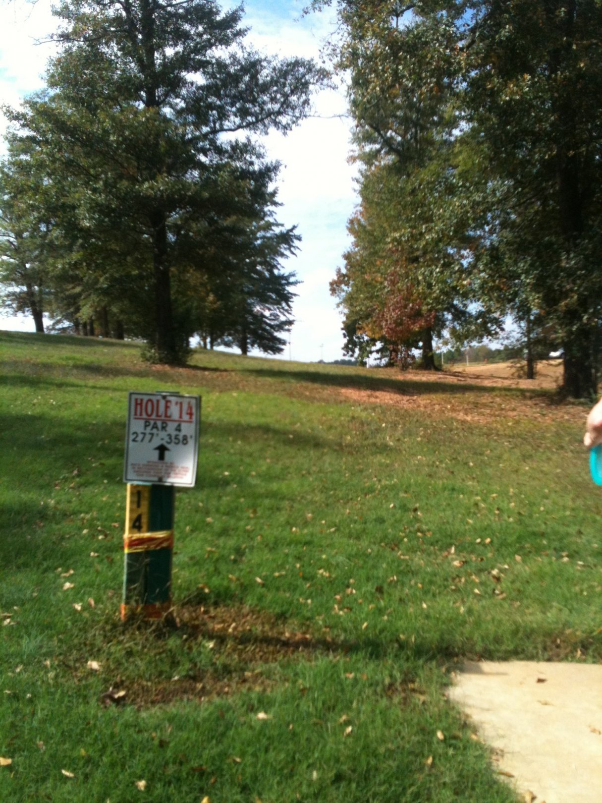 Hole 14 • Stephens County/Rose Lane (Toccoa, GA) Disc Golf Courses