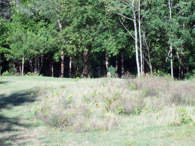 Eagle Country, Eagle Country DGC, Hole 3 Long approach