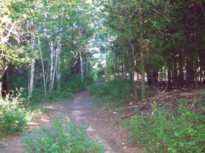 Eagle Country, Eagle Country DGC, Hole 2 Alternate pin