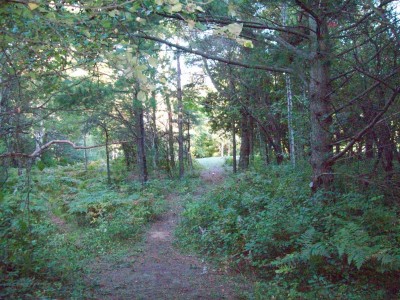 Eagle Country, Eagle Country DGC, Hole 3 Alternate pin