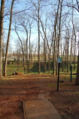 Basil Griffin Park, Main course, Hole 9 Tee pad