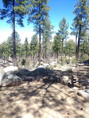 Ponderosa Park, Main course, Hole 12 Tee pad