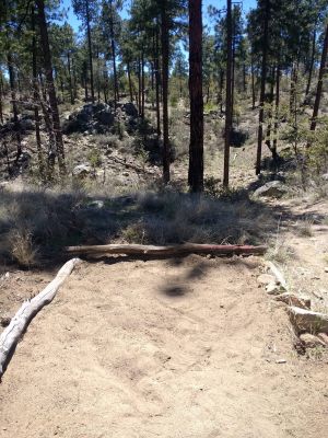 Ponderosa Park, Main course, Hole 10 Tee pad