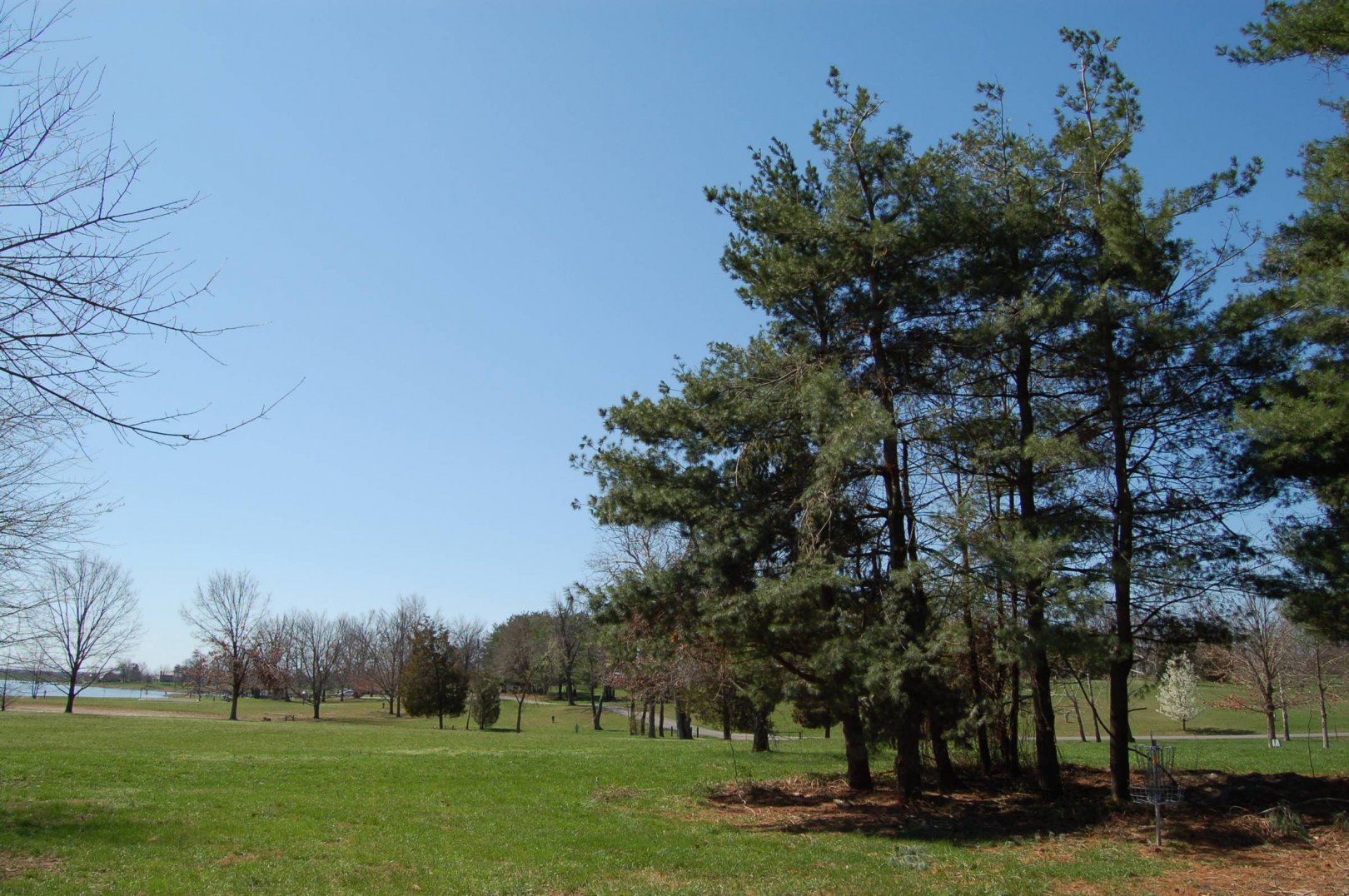 Hole 12 • Freeman Lake Park (Elizabethtown KY) Disc Golf Courses Hole 12 • Freeman Lake Park (Elizabethtown KY) Disc Golf Courses