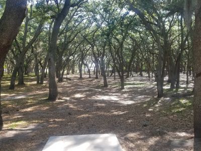 GT Bray park, Main course, Hole 1 