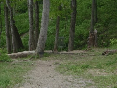 Banklick Woods Park, Main course, Hole 19 Putt