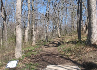 Banklick Woods Park, Main course, Hole 17 Tee pad