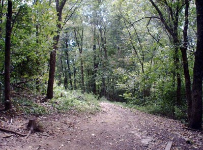 Banklick Woods Park, Main course, Hole 8 Tee pad