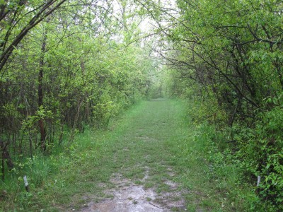 Pioneer High School, Pioneer DGC, Hole 2 Tee pad