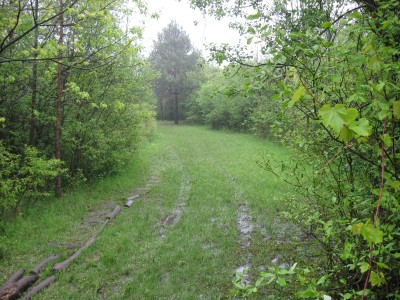 Pioneer High School, Pioneer DGC, Hole 9 Tee pad