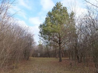 Pioneer High School, Pioneer DGC, Hole 9 Short approach