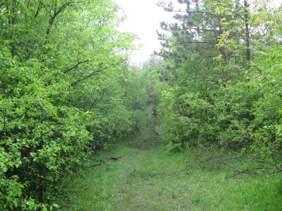 Pioneer High School, Pioneer DGC, Hole 4 Tee pad