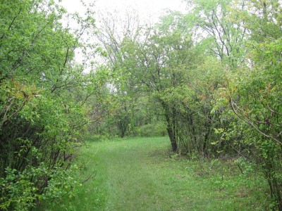 Pioneer High School, Pioneer DGC, Hole 8 Tee pad