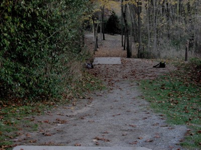 Hudson Mills Metropark, Original course, Hole 7 Long tee pad