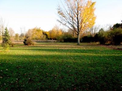 Hudson Mills Metropark, Original course, Hole 4 Long approach