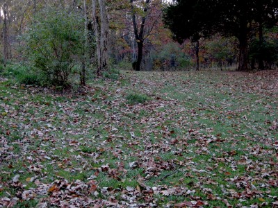 Hudson Mills Metropark, Original course, Hole 8 Midrange approach