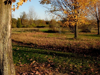 Hudson Mills Metropark, Original course, Hole B Midrange approach