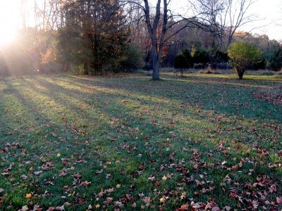 Hudson Mills Metropark, Original course, Hole D Midrange approach