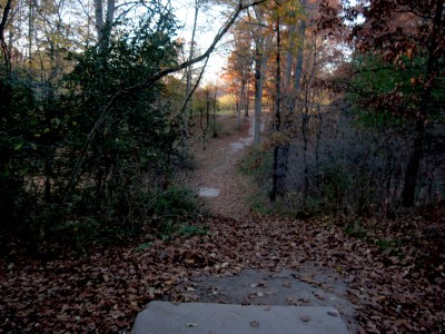 Hudson Mills Metropark, Original course, Hole 6 Long tee pad