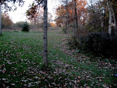 Hudson Mills Metropark, Original course, Hole 9 Midrange approach