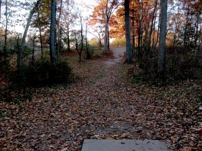 Hudson Mills Metropark, Original course, Hole 6 Short tee pad