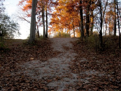 Hudson Mills Metropark, Original course, Hole 6 Midrange approach