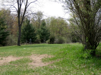 Hudson Mills Metropark, Monster course, Hole 8 Midrange approach