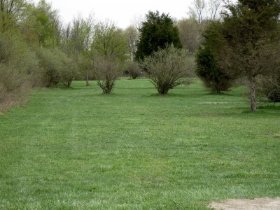 Hudson Mills Metropark, Monster course, Hole 14 Short tee pad