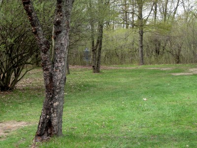 Hudson Mills Metropark, Monster course, Hole C Midrange approach