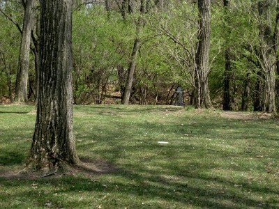 Hudson Mills Metropark, Monster course, Hole 2 Midrange approach