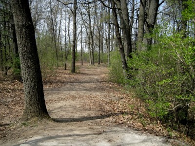 Hudson Mills Metropark, Monster course, Hole 6 Short tee pad