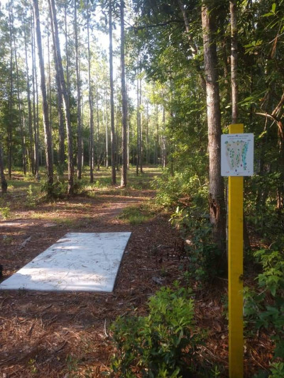 Howard Peoples Park, Gum Branch, Hole 1 Short tee pad