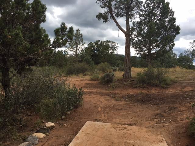 Hole 7 Fort Lewis College Durango CO Disc Golf Courses Disc 