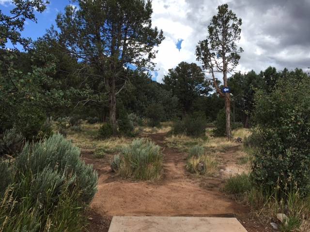 Hole 14 Fort Lewis College Durango CO Disc Golf Courses Disc 