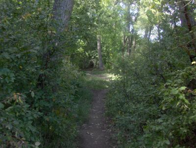 Cache La Poudre Jr. High, Main course, Hole 4 Tee pad