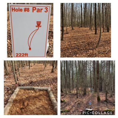 Schoolhouse Road DGC, Main course, Hole 8 