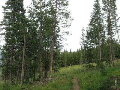 Adventure Ridge, Main course, Hole 6 Tee pad