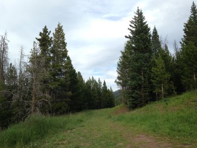 Adventure Ridge, Main course, Hole 14 Tee pad