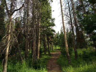 Adventure Ridge, Main course, Hole 17 Tee pad