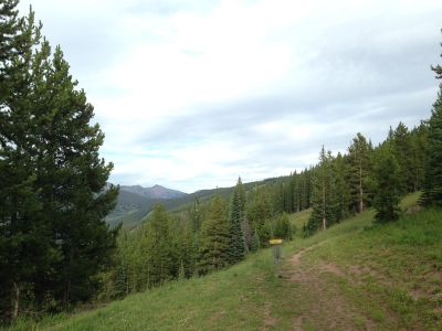 Adventure Ridge, Main course, Hole 14 Short approach