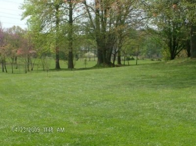 Cane Creek Park, Main course, Hole 2 Tee pad