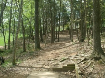 Cane Creek Park, Main course, Hole 3 Tee pad