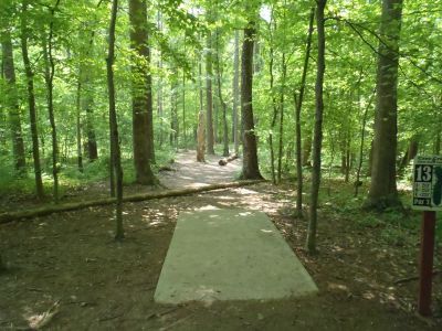 Cane Creek Park, Main course, Hole 13 Tee pad