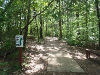 Cane Creek Park, Main course, Hole 12 Tee pad