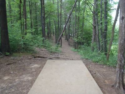 Cane Creek Park, Main course, Hole 11 Tee pad