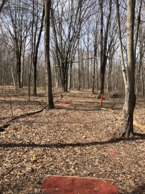 Taymouth Township Park, New course, Hole 4 Long tee pad