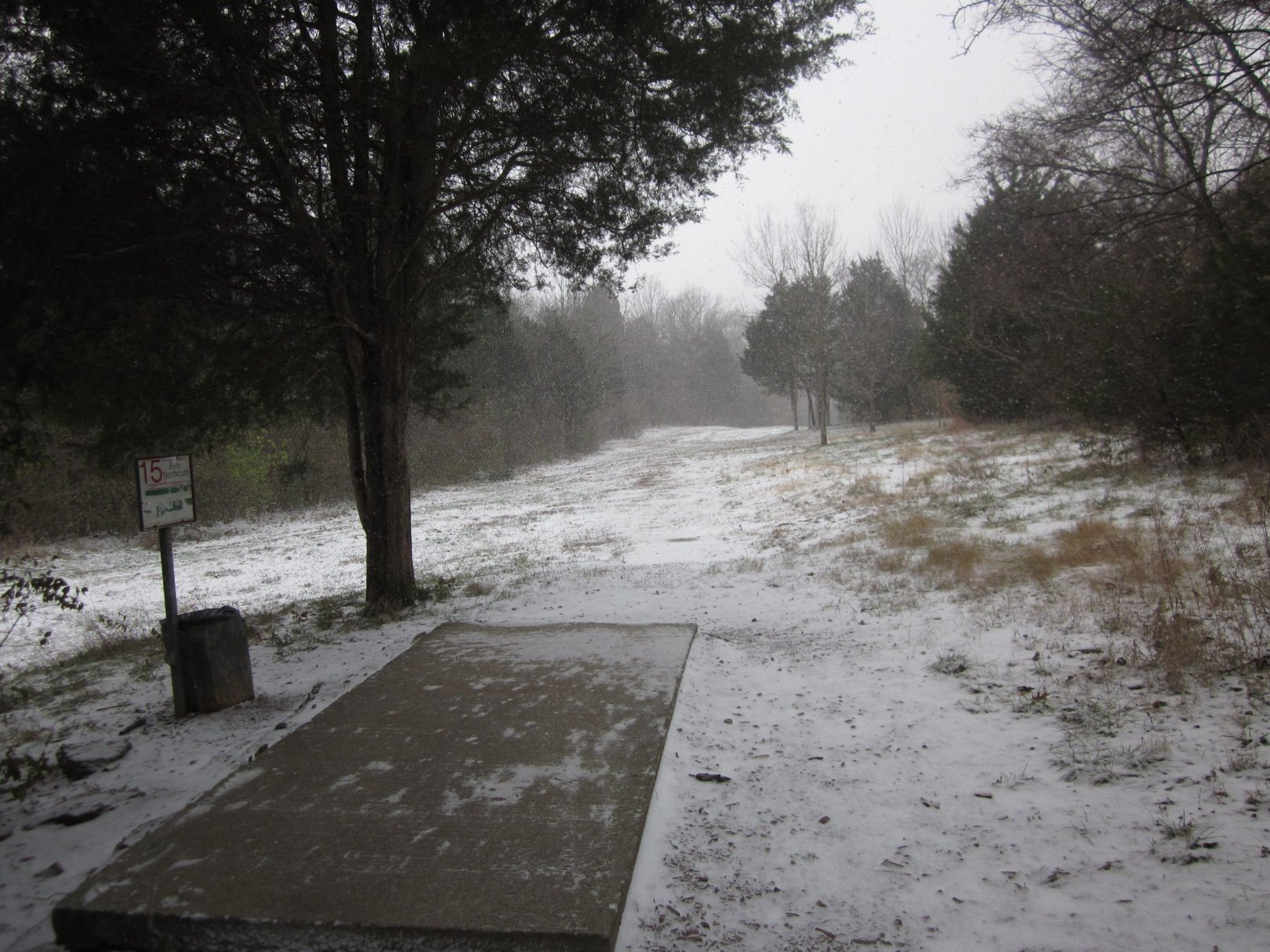 Hole 15 • Cedar Hill Park (Madison, TN) Disc Golf Courses Disc Golf